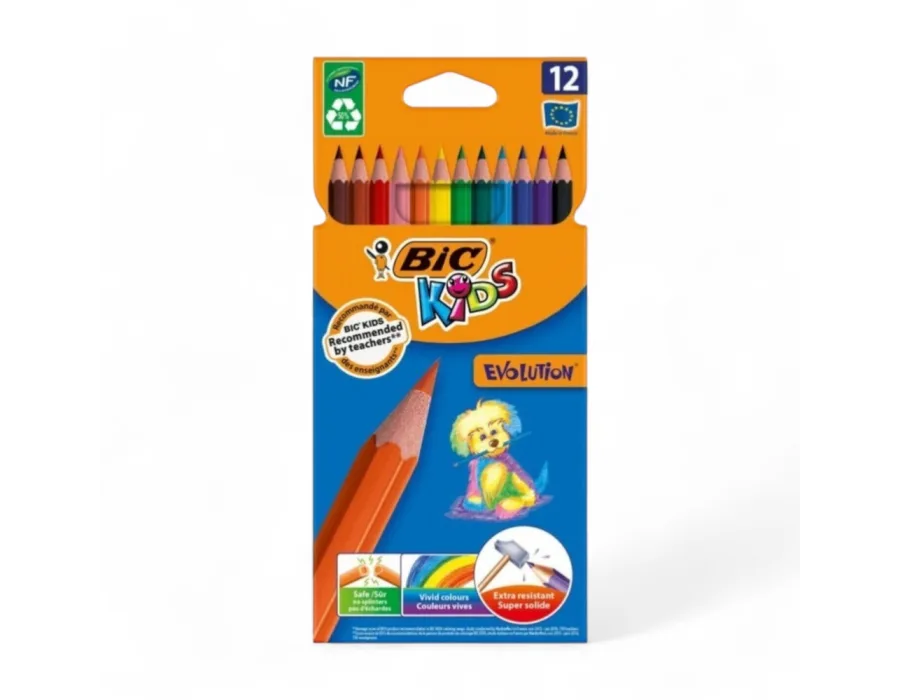 Bic Kids Kuru Boya Evolution 12 Renk