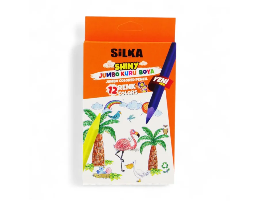 Silka Kuru Boya Shiny Jumbo Üçgen 12 Renk